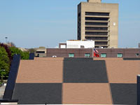 commercial shingle roof photo